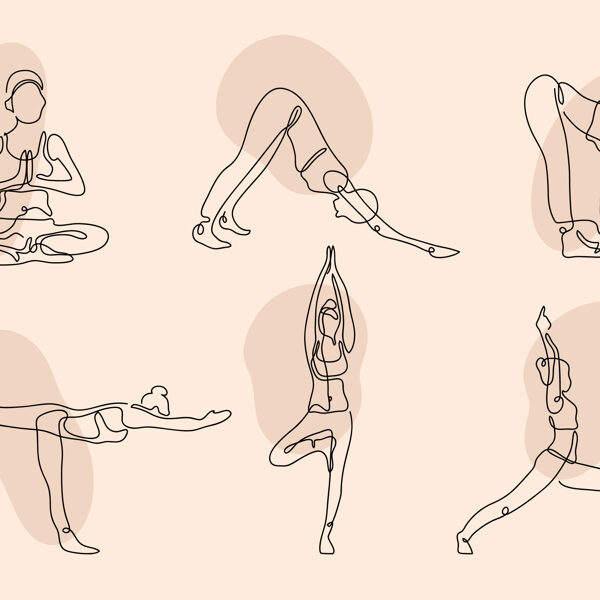 Yoga et anatomie